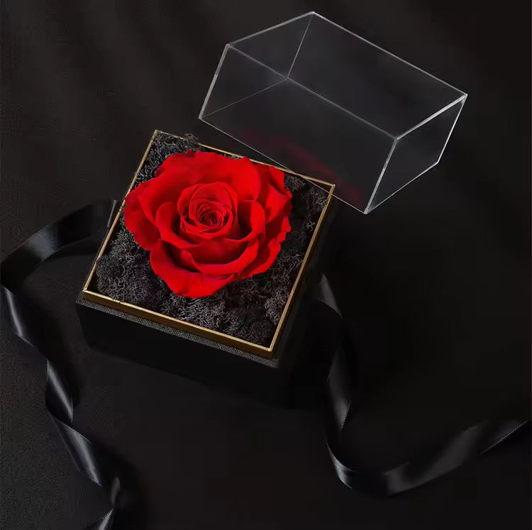 ACRYLIC SMALL SQUARE BOX