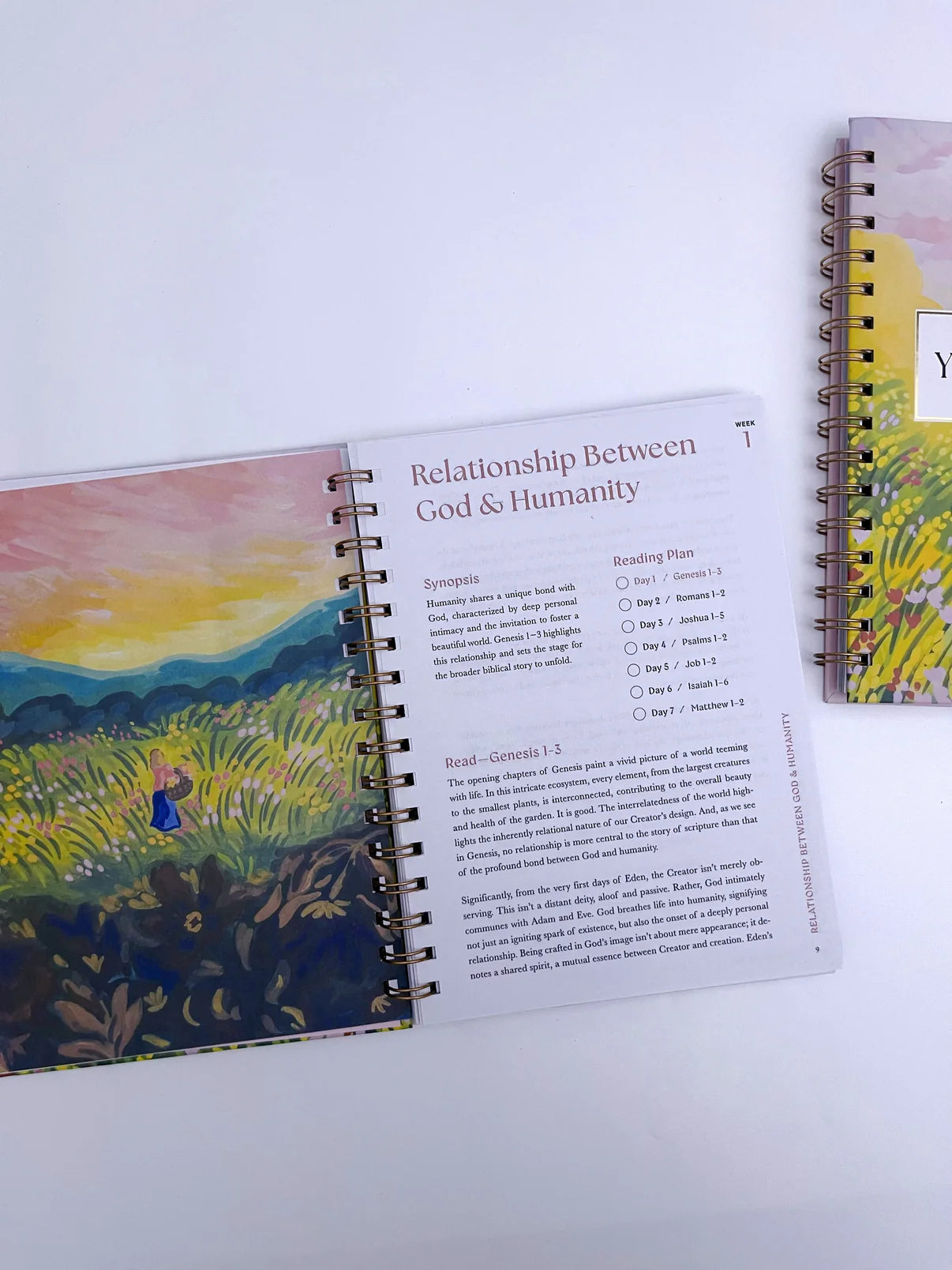 A 52-week Bible Study Plan for Women