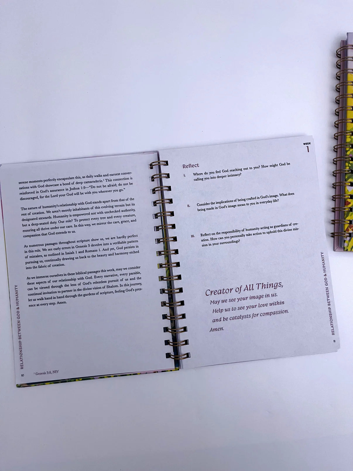 A 52-week Bible Study Plan for Women