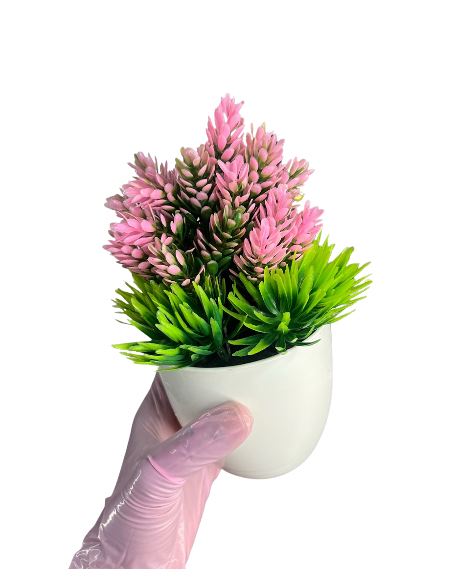 Artificial Cactus Demo Plants