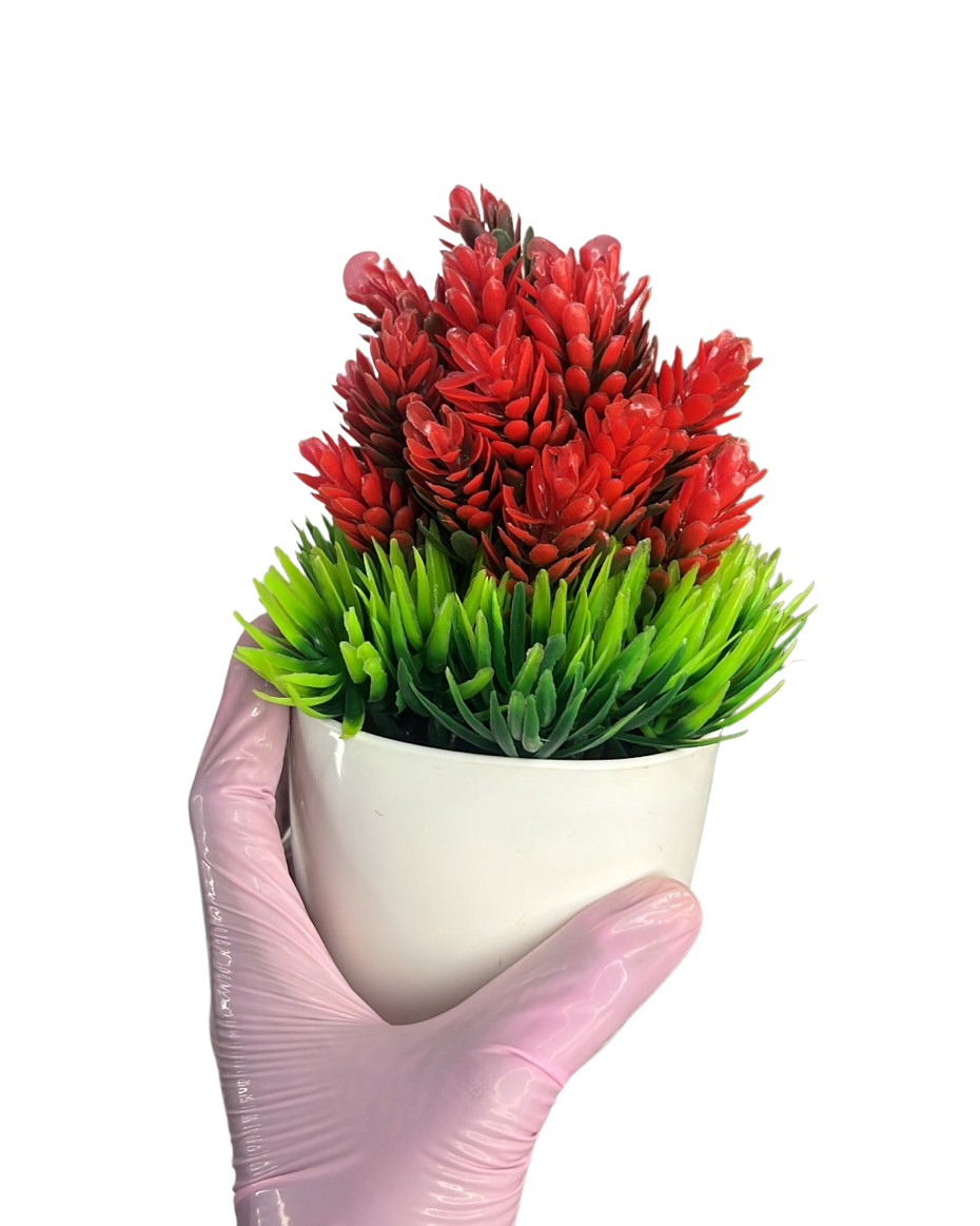 Artificial Cactus Demo Plants