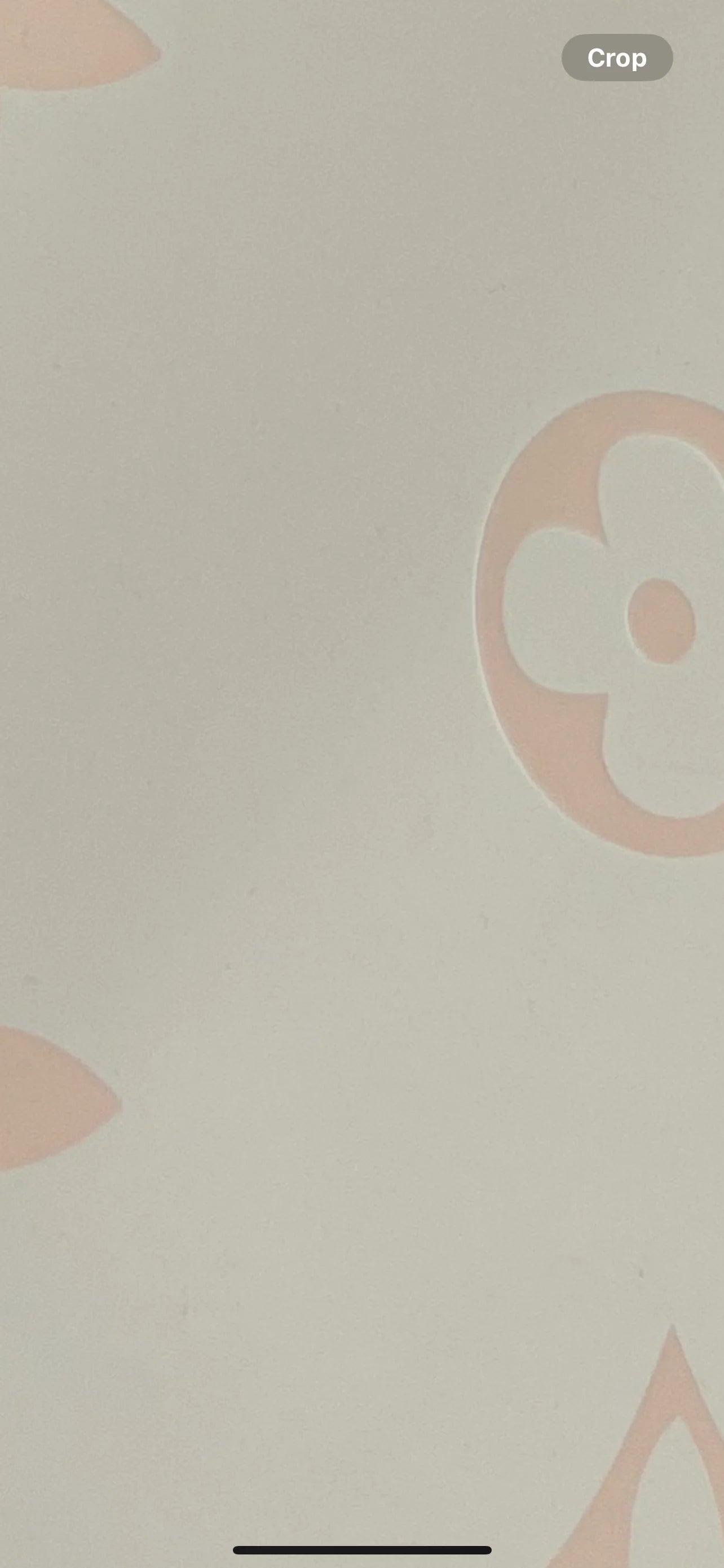 Lo Paper Transparent