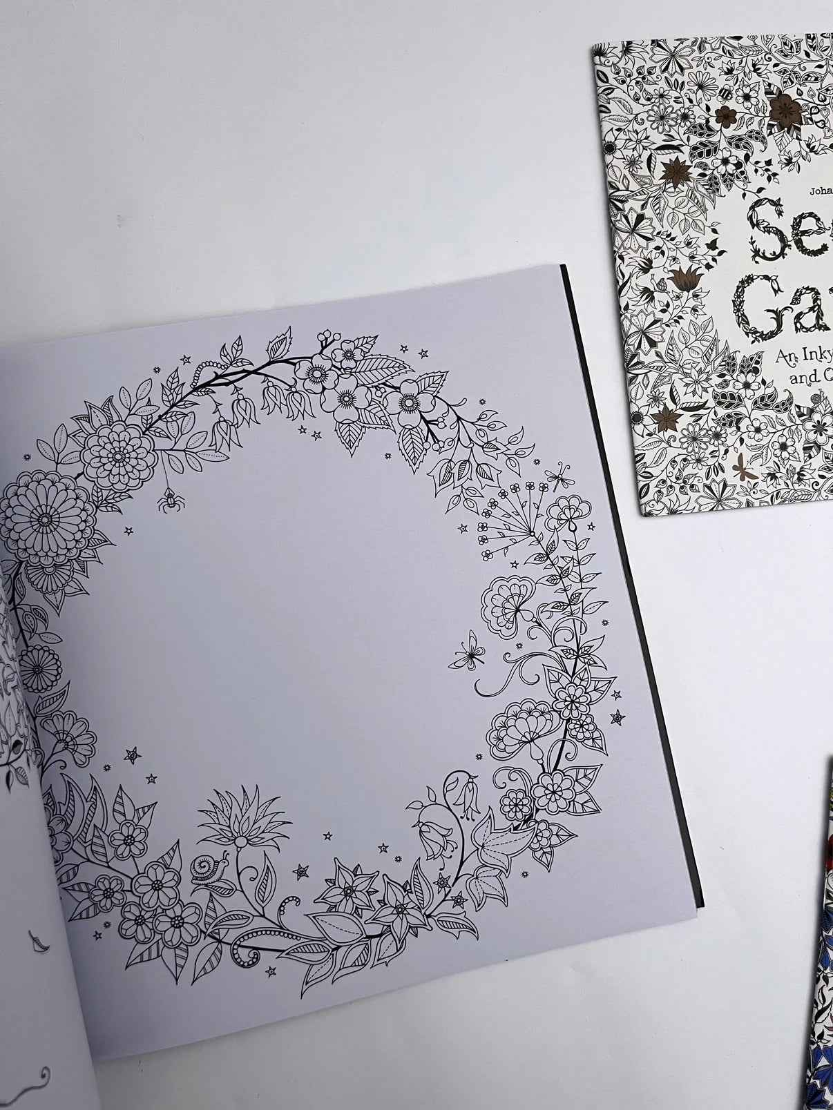 Large Secret Garden Coloring Book