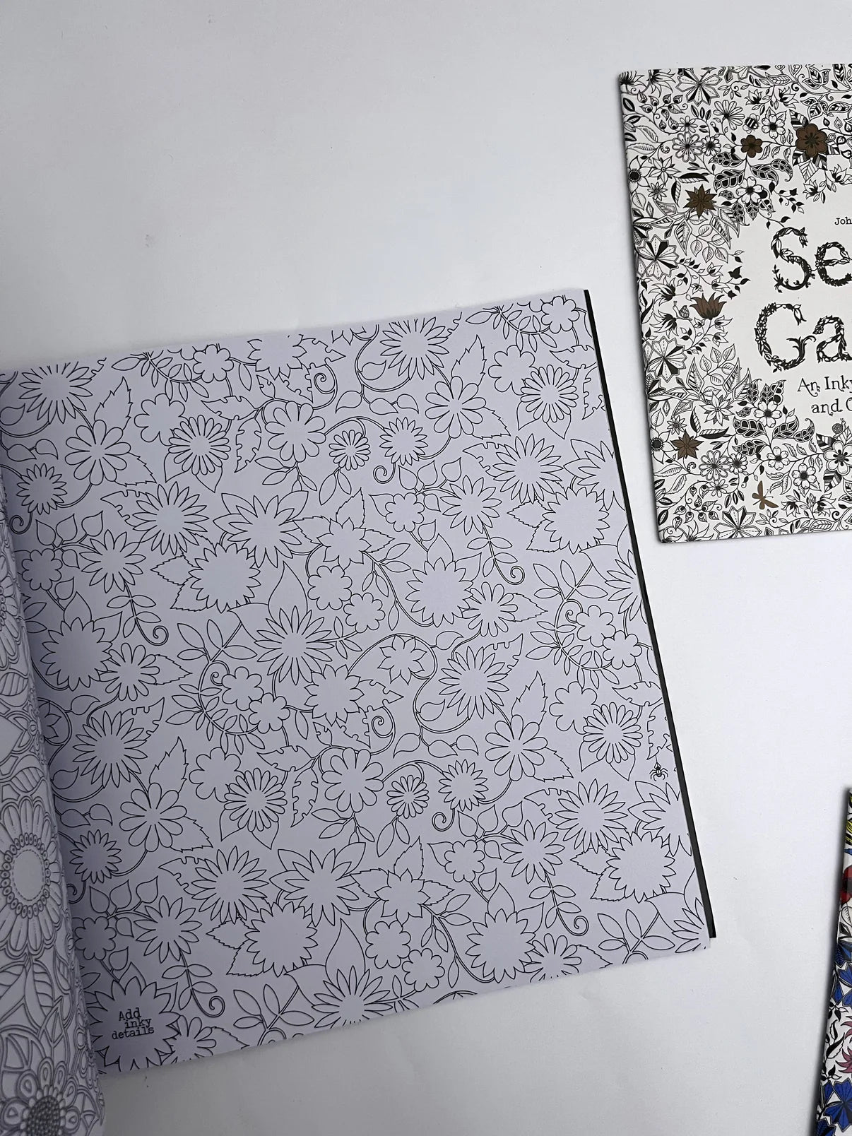Large Secret Garden Coloring Book