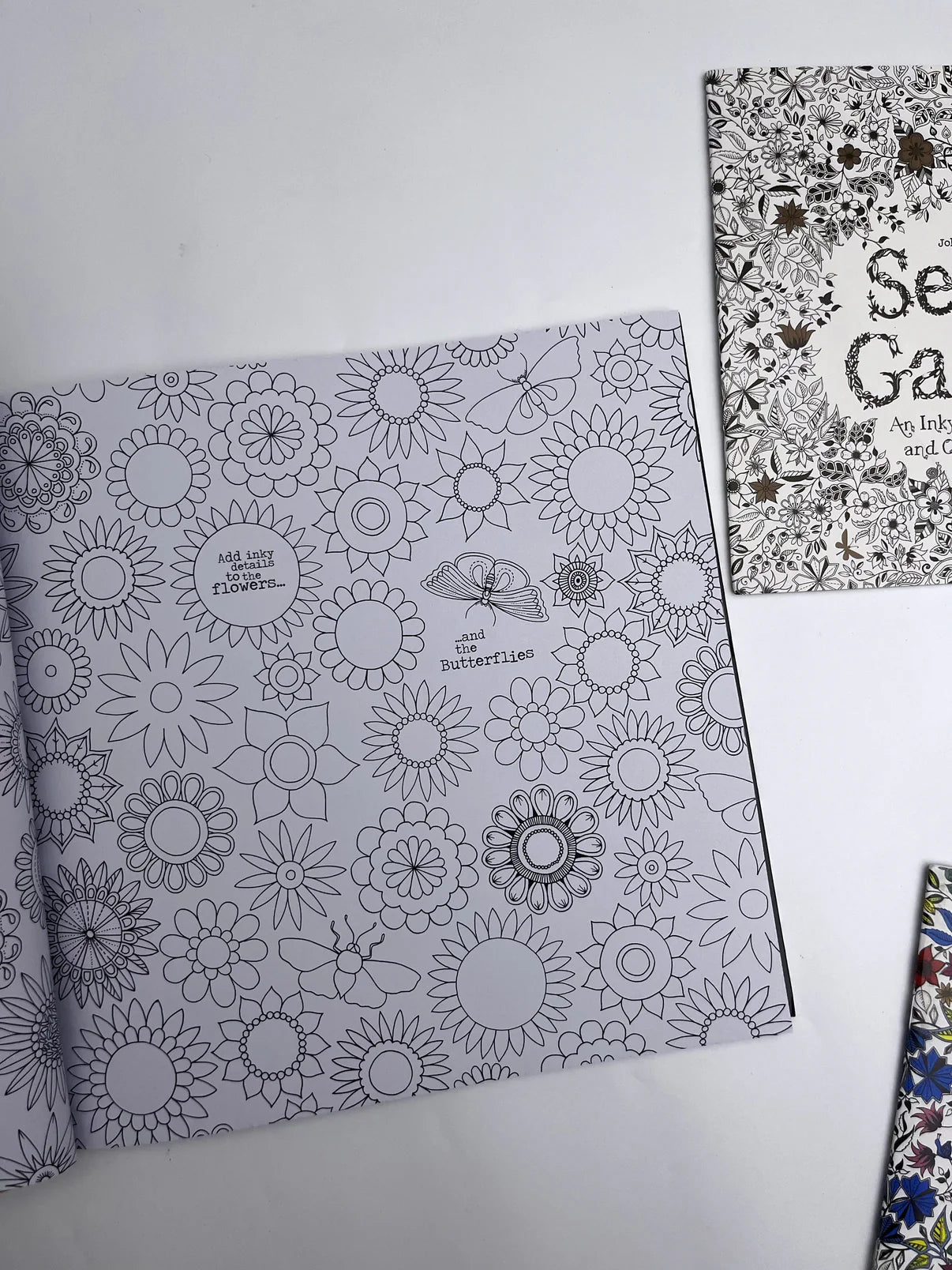 Large Secret Garden Coloring Book