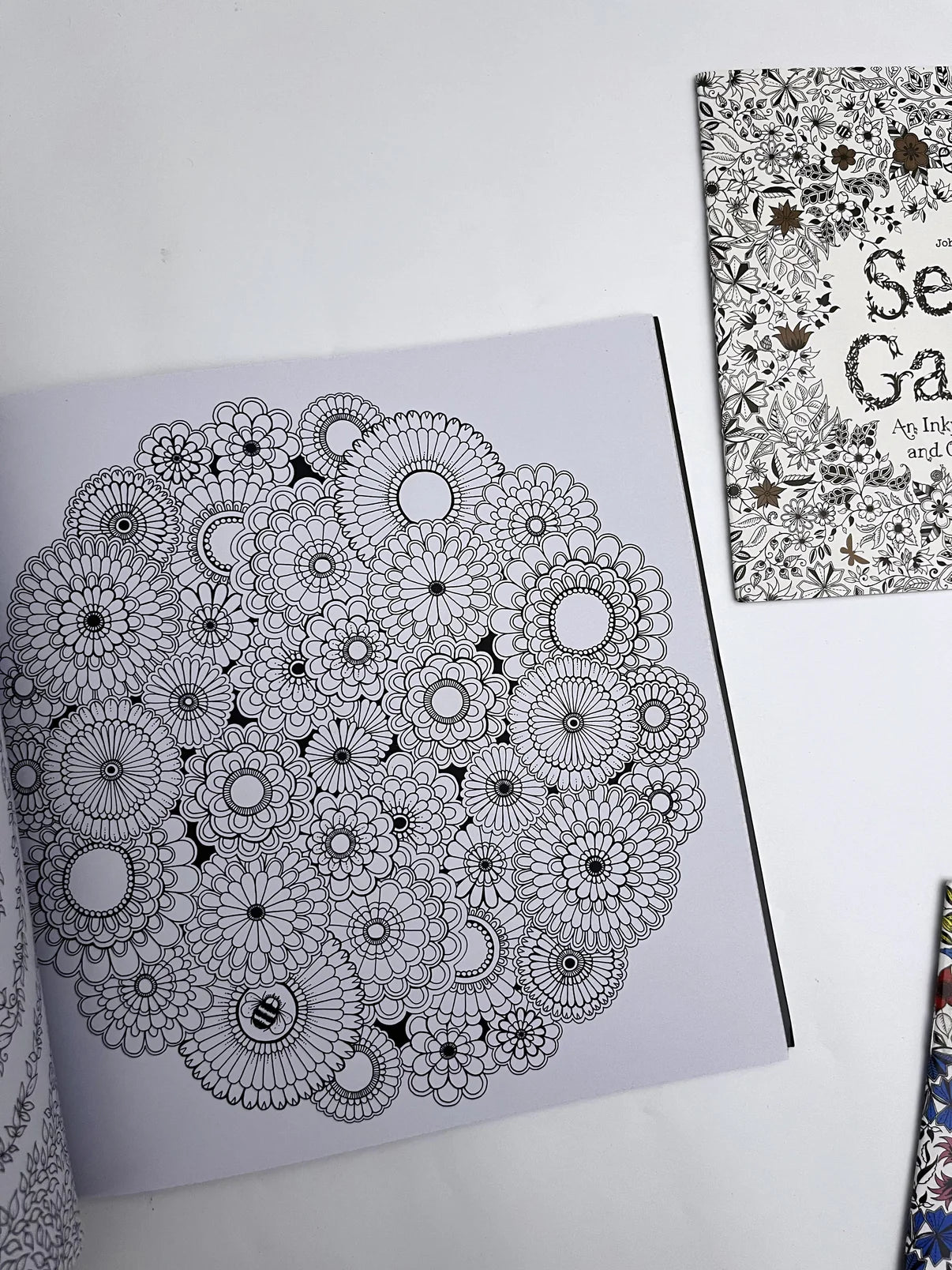 Large Secret Garden Coloring Book