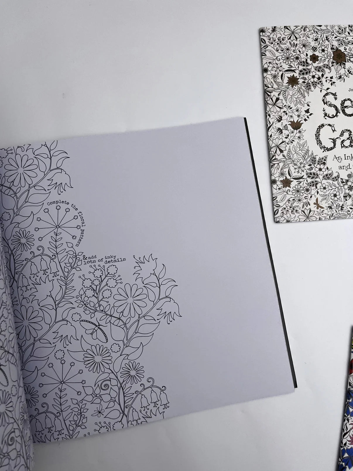 Large Secret Garden Coloring Book