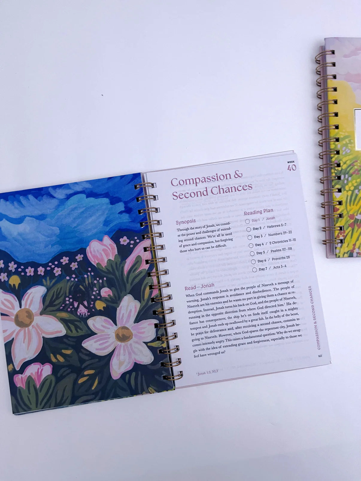 A 52-week Bible Study Plan for Women