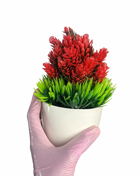 Artificial Cactus Demo Plants