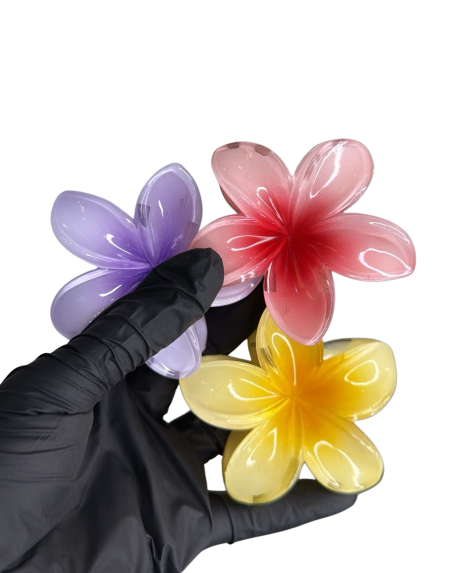 Flower Claw Clip set